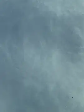 Snapshot of camboys_poyraz chatting on November 2025 01:04:02 PM camboys poyraz online show from November 2025 01:04:02 PM