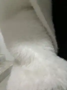 Cumonmme online show from January 2026 08:23:01 PM