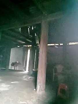 ngan-cute online show from October 2025 01:17:02 AM