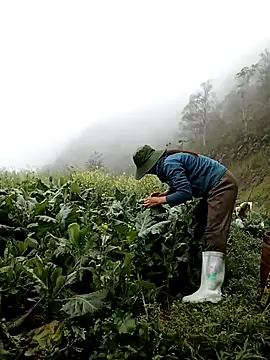 ngan-cute online show from March 2026 04:07:01 AM