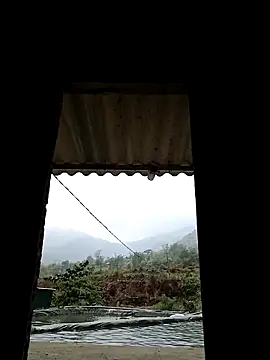 ngan-cute online show from April 2026 04:35:01 AM