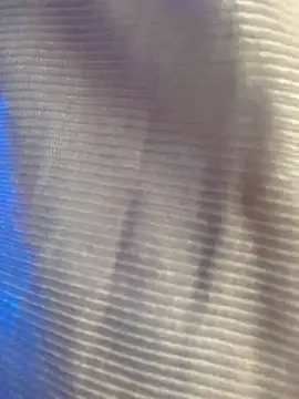 royeoy22 online show from November 2025 11:54:01 AM