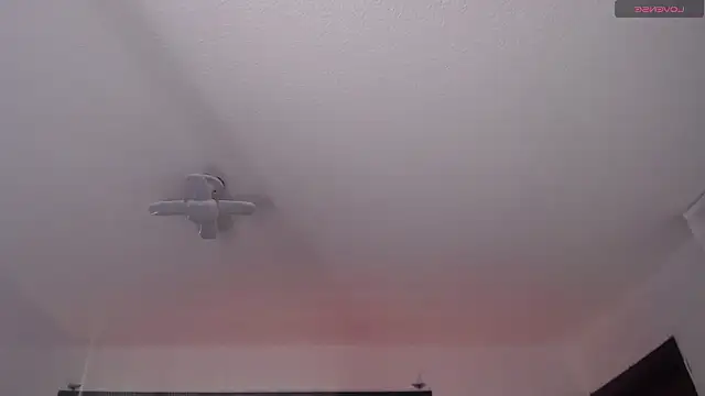 Snapshot of _Charlotte_Collins_ chatting on March 2026 02:20:01 PM Charlotte Collins online show from March 2026 02:20:01 PM