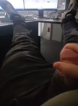 stunning stallion online show from October 2025 04:59:01 AM