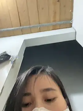 Zinsetka online show from March 2026 06:23:02 PM