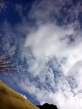 tcm-cute online show from October 2025 03:06:02 AM