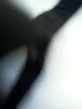 TaraWild online show from February 2026 11:09:02 AM