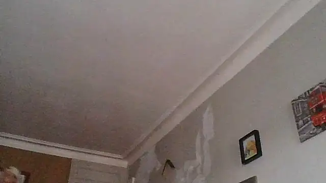 Titilouonlyf69 online show from July 2026 07:01:02 PM
