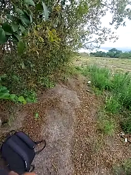 magraocam online show from November 2025 04:08:02 PM