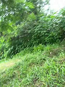 magraocam online show from March 2026 02:21:02 PM