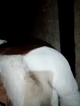 Phuong xxx online show from February 2026 11:49:02 AM