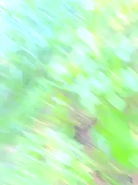 Andy-Alex2002 online show from September 2025 06:45:02 AM