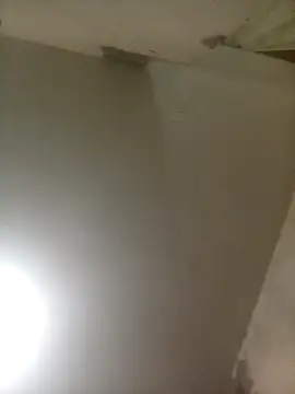 Bebicho14 online show from April 2026 01:58:02 AM