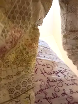 Snapshot of Softecho-03 chatting on February 2026 07:11:01 PM Softecho-03 online show from February 2026 07:11:01 PM