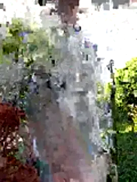 AlphaAlterX online show from December 2025 12:34:02 PM