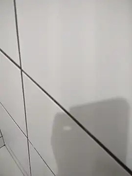 Novin23cms online show from November 2025 11:24:01 PM