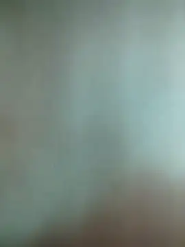 Novin23cms online show from January 2026 12:03:01 AM