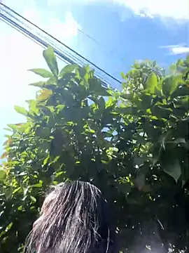 Sophie Dreamss online show from October 2025 07:33:01 PM