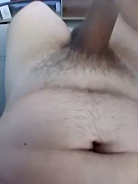 novinho sc770 online show from September 2025 04:21:01 PM