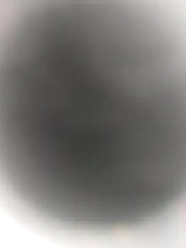 Snapshot of Necroforo chatting on February 2026 08:49:02 PM Necroforo online show from February 2026 08:49:02 PM