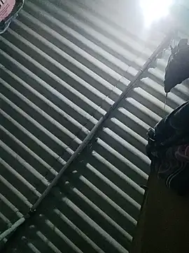 Tamilgud23 online show from November 2025 04:23:01 PM