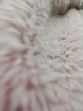 Tin tanny online show from January 2026 12:59:02 AM