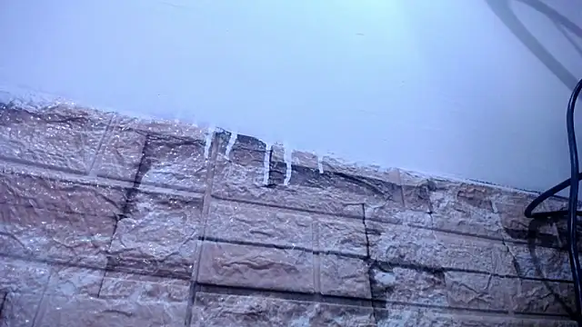 Bicky 24 online show from April 2026 08:34:01 AM