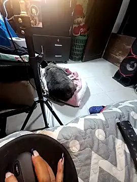 anythompsom online show from November 2025 11:15:02 PM