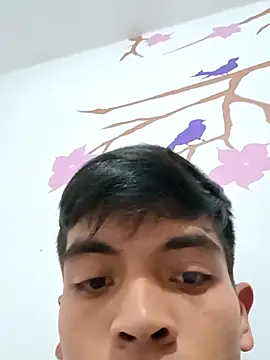 DavidVergagigante420 online show from November 2025 04:08:02 PM