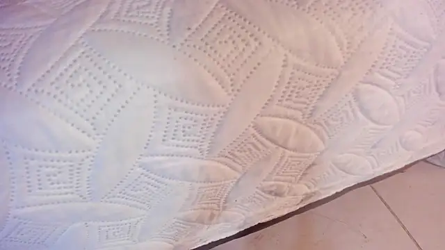 Ambeer fox  online show from March 2026 12:55:01 PM