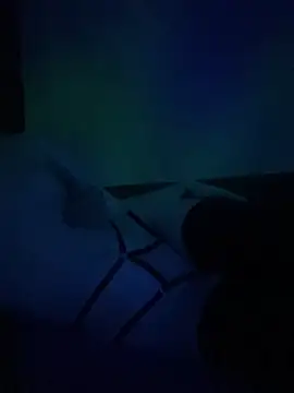 gjollyros online show from February 2026 08:16:01 PM