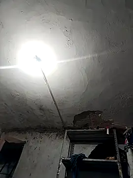 Snapshot of Ferxxxo1503 chatting on November 2025 04:24:02 AM Ferxxxo1503 online show from November 2025 04:24:02 AM