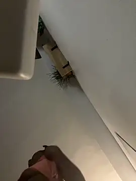 Snapshot of littyleesh1 chatting on April 2026 04:29:01 AM littyleesh1 online show from April 2026 04:29:01 AM