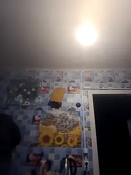 Snapshot of brodjga chatting on October 2025 02:23:02 PM brodjga online show from October 2025 02:23:02 PM