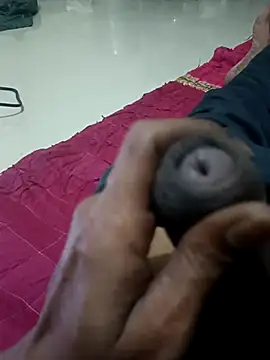 8133vaibhavh online show from February 2026 03:32:01 PM