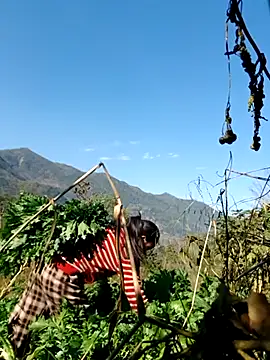 kemtuoi-sex online show from February 2026 08:08:02 AM