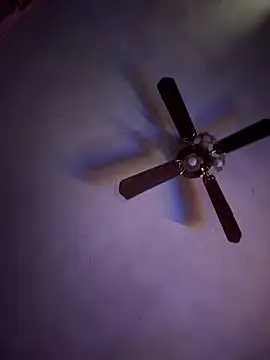 shortywidaphatty online show from April 2026 07:58:02 PM