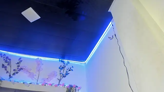 abbiecollins js online show from March 2026 04:51:01 AM