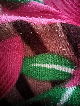 bold guy 1234 online show from October 2025 05:07:02 AM