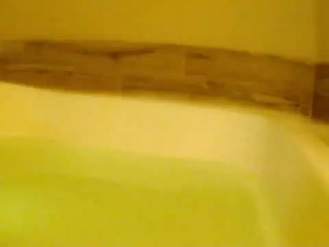 darnette daisy online show from May 2026 08:08:01 AM