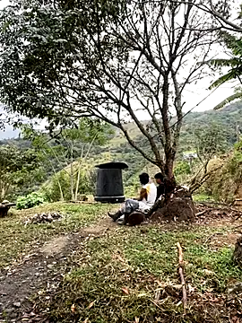 sky-wolves online show from September 2025 04:09:05 PM