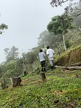 sky-wolves online show from October 2025 03:43:01 PM