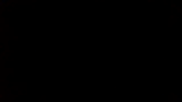 lesyawhite online show from December 2025 04:03:02 PM