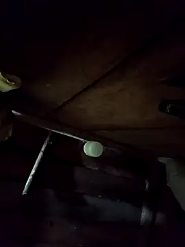 callistra online show from April 2026 02:44:01 PM