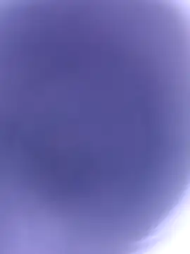 Snapshot of pussybebi chatting on February 2026 10:58:02 AM pussybebi online show from February 2026 10:58:02 AM