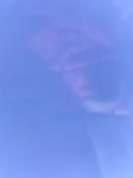 Snapshot of pussybebi chatting on March 2026 06:12:02 PM pussybebi online show from March 2026 06:12:02 PM