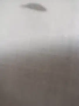 ipvk online show from March 2026 12:34:01 PM