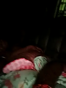 Snapshot of PALAK069 chatting on October 2025 08:05:01 PM PALAK069 online show from October 2025 08:05:01 PM