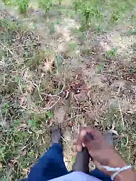 DICKLANKA online show from September 2025 08:28:01 AM