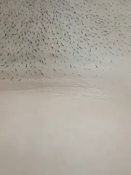 xxSafiraxx online show from October 2025 07:39:02 AM